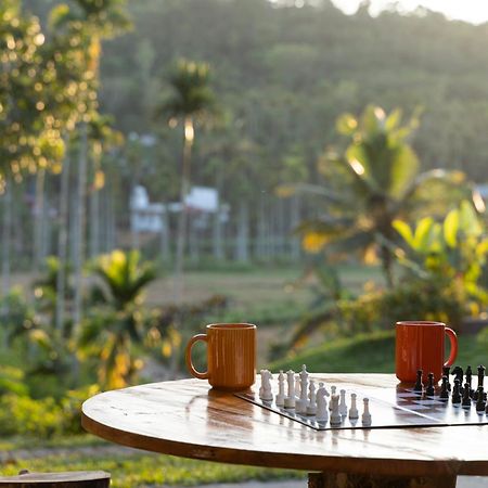 Stayvista At The Big Chill With Breakfast Included Wayanad Zewnętrze zdjęcie